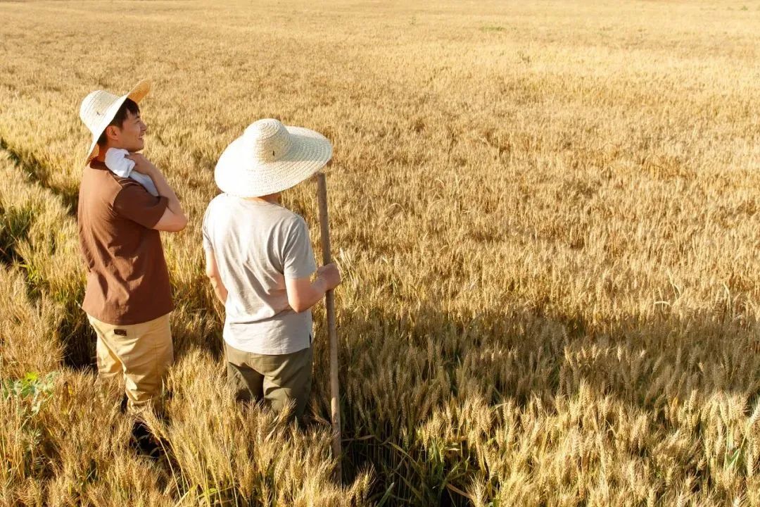 1100万人选择返乡，若何助力他们干事创业？