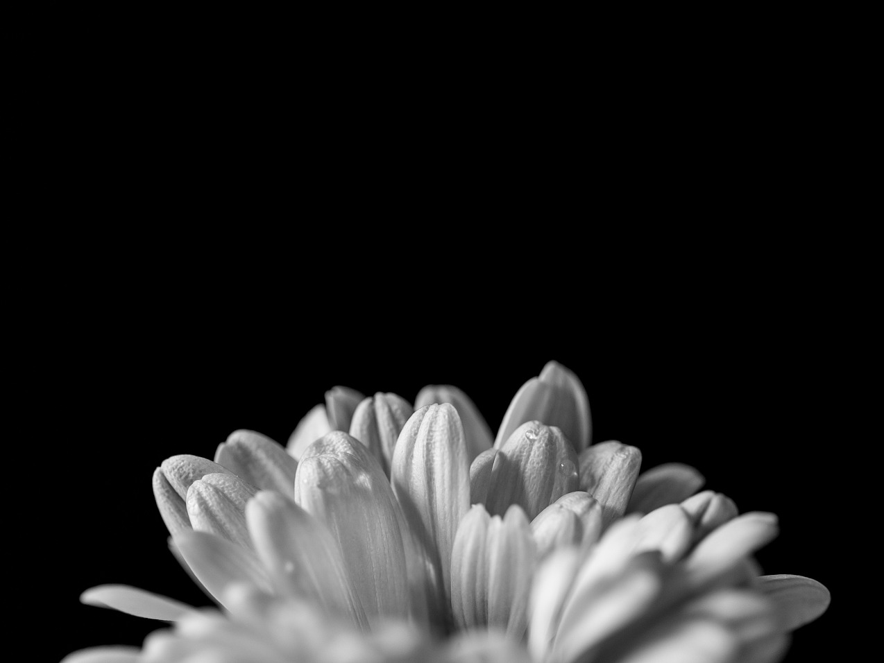 ��ҳ-NG��Ѷ�����˹ٷ���վ