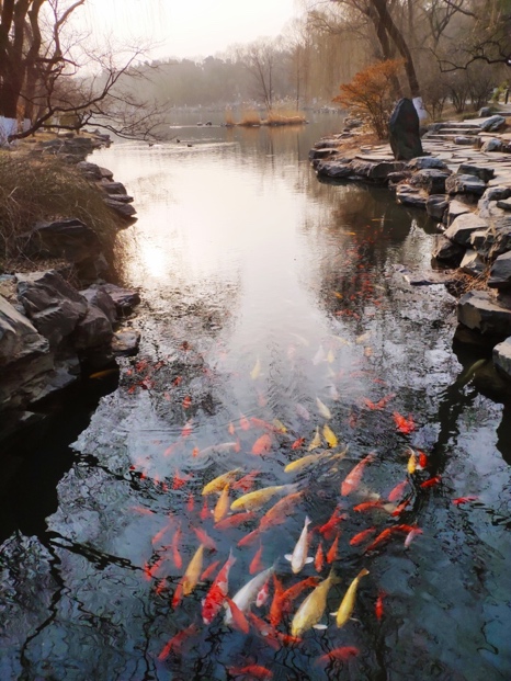 首页-NG视讯厅真人官方网站