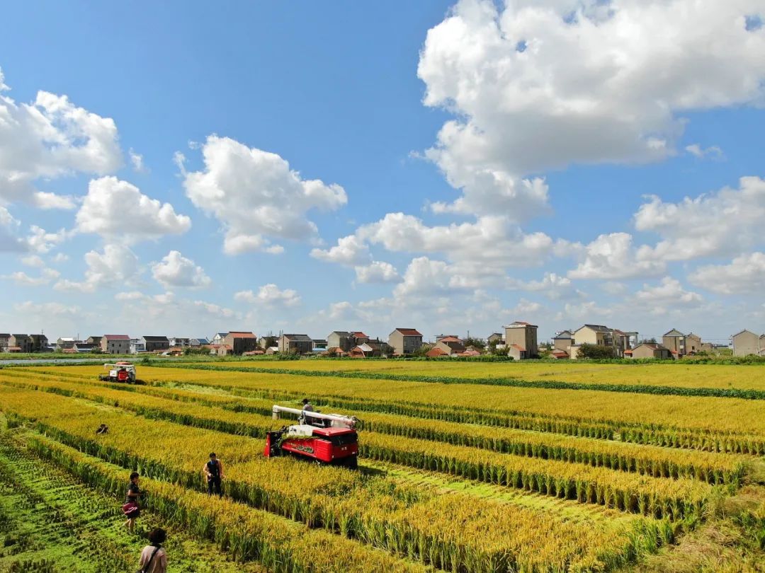 唐遥：面向将来若何成立多维度多样化的村落振兴评价系统？