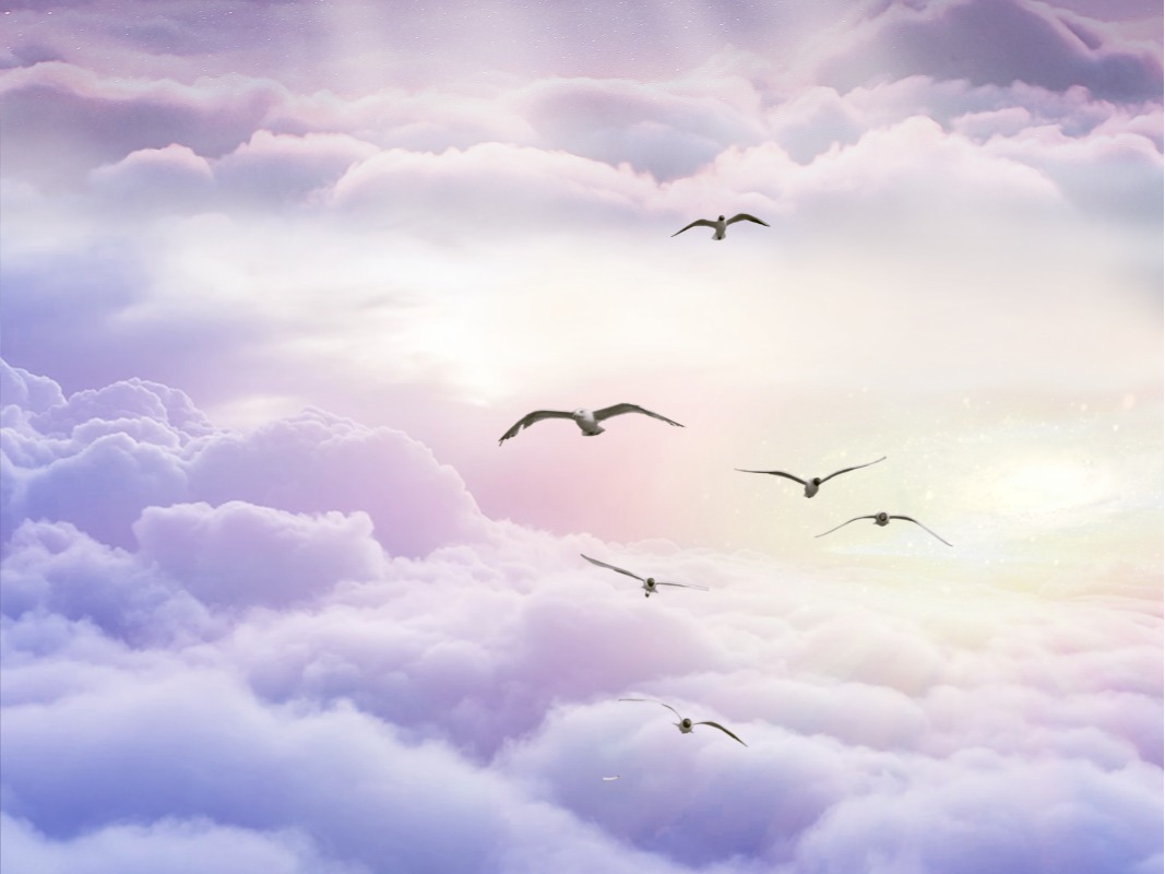 首页-NG视讯厅真人官方网站