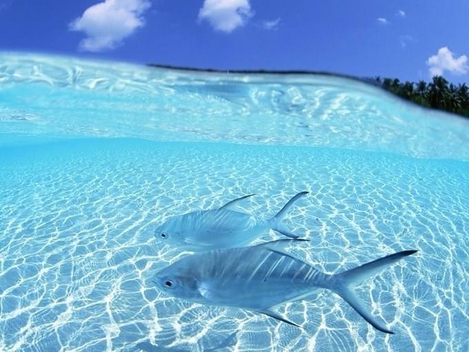 首页-NG视讯厅真人官方网站