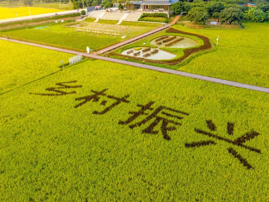 首页-NG视讯厅真人官方网站