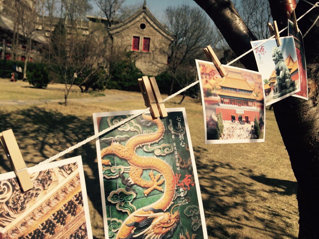 首页-NG视讯厅真人官方网站