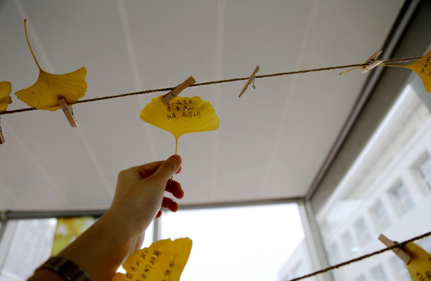 首页-NG视讯厅真人官方网站