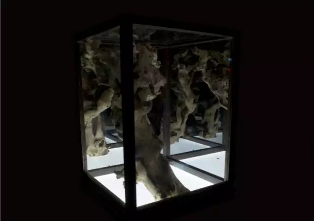 首页-NG视讯厅真人官方网站