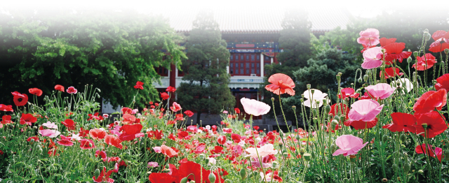 首页-NG视讯厅真人官方网站