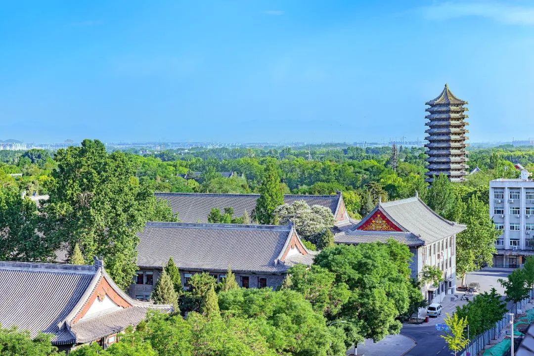 0D70B76A50ED61FC8B2D97862BC_C81949D2_333DC