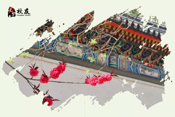 首页-NG视讯厅真人官方网站