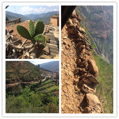 首页-NG视讯厅真人官方网站