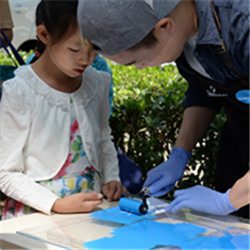 首页-NG视讯厅真人官方网站