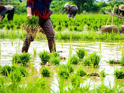 首页-NG视讯厅真人官方网站