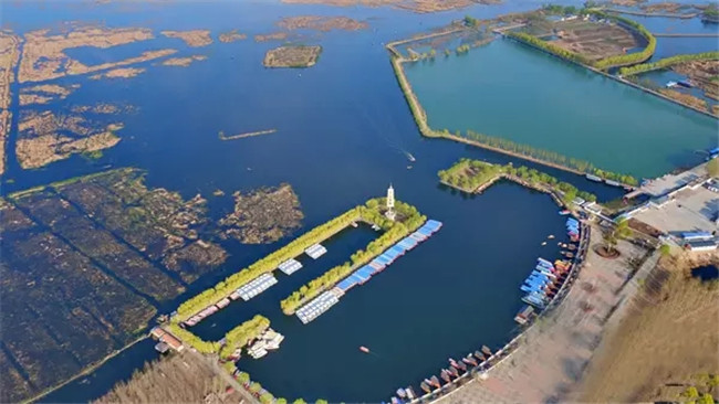 首页-NG视讯厅真人官方网站