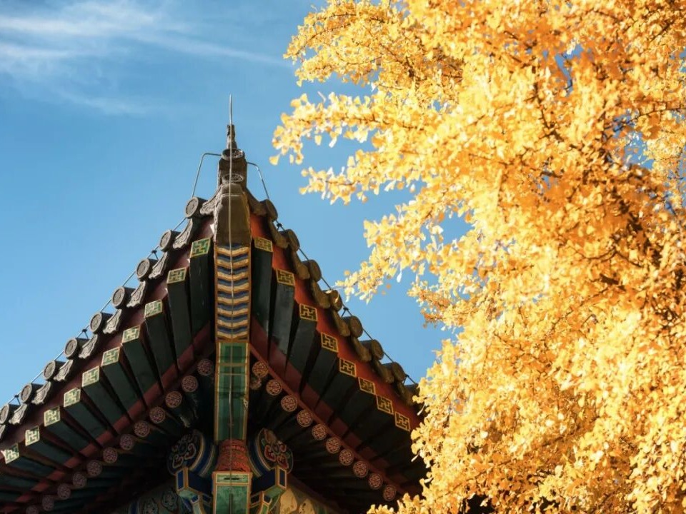 首页-NG视讯厅真人官方网站