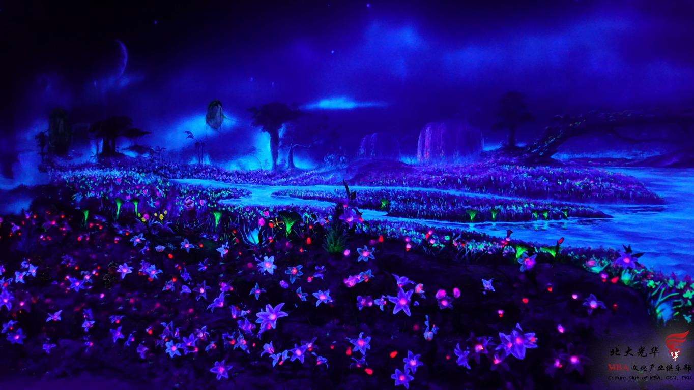 A6CE49C8A5E3290254D2DDBD967_ED644405_1FC2A