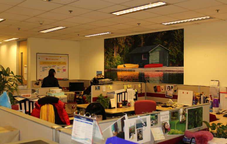 首页-NG视讯厅真人官方网站