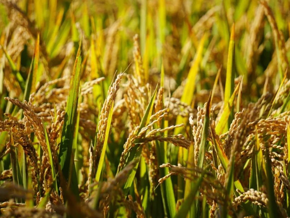 首页-NG视讯厅真人官方网站