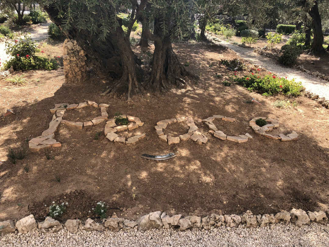 9F3E7F0A3F2A1CCE7E93E9D3505_CA60345E_26942.jpg?e=