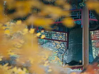 首页-NG视讯厅真人官方网站