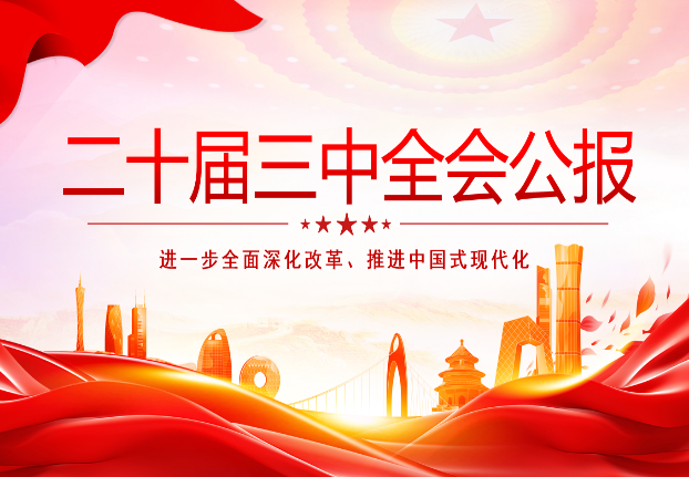 237F36D9F0337522E0620677119_89C70311_69862