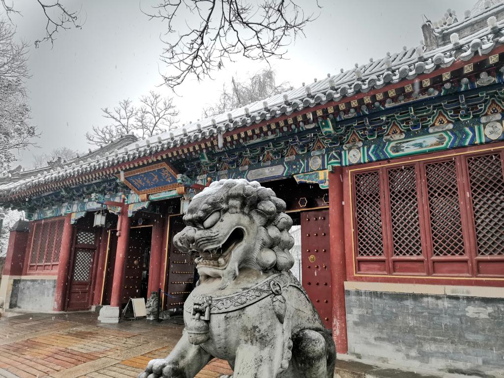  考研倒计时 | 预？佳谐晒Γ 