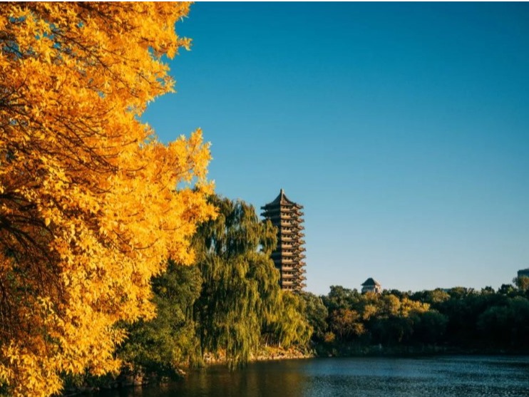 首页-NG视讯厅真人官方网站