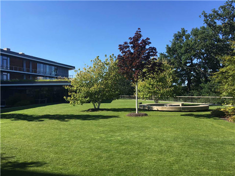 首页-NG视讯厅真人官方网站