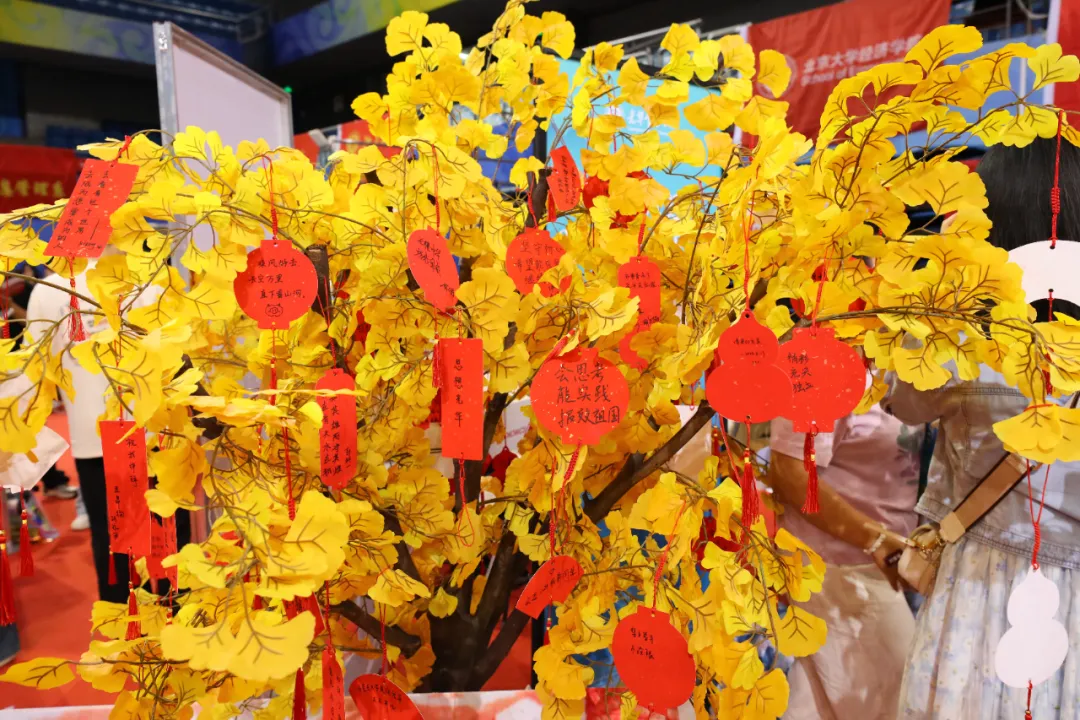 70A17EA7473EC444B356DD36DF1_07CD9FE6_236D2