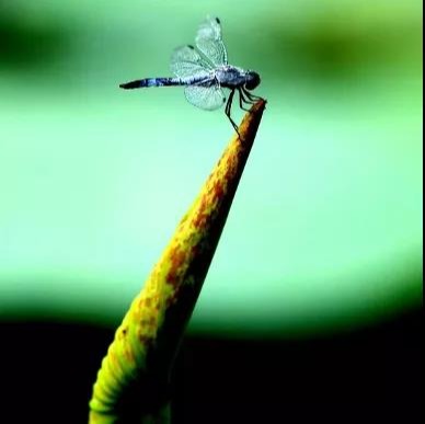 首页-NG视讯厅真人官方网站