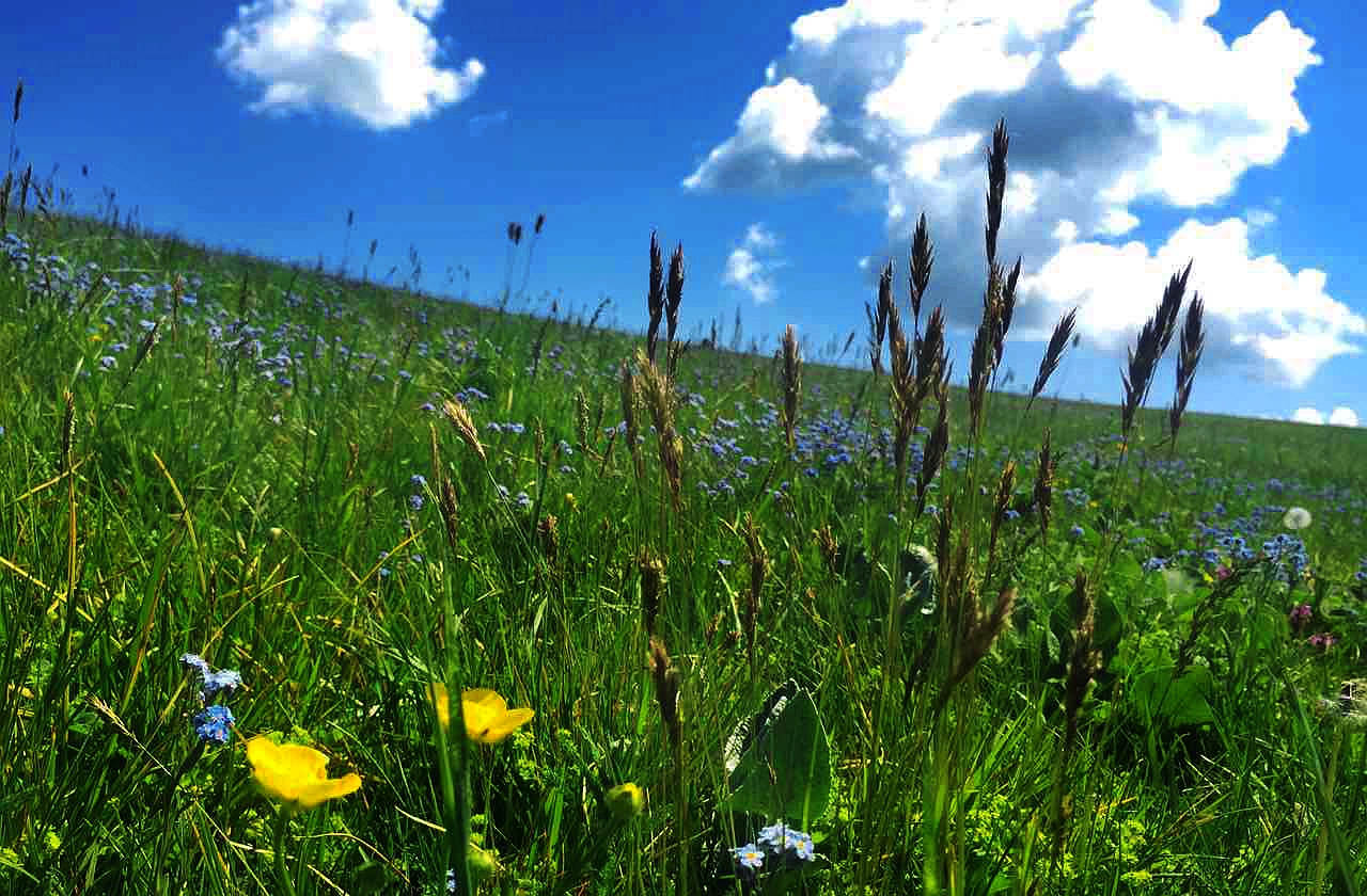 首页-NG视讯厅真人官方网站