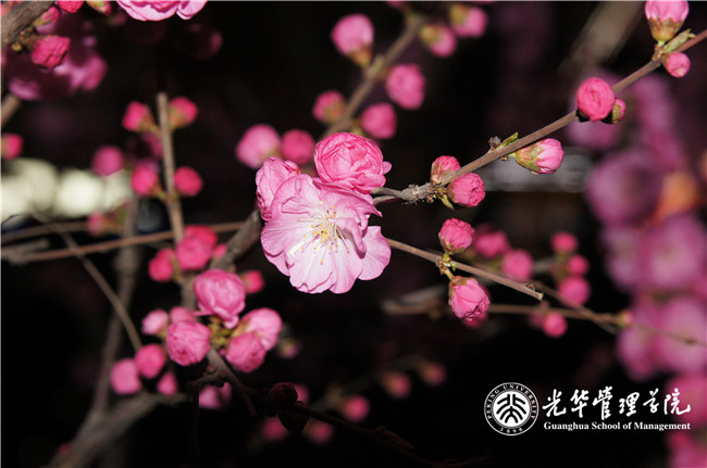 首页-NG视讯厅真人官方网站