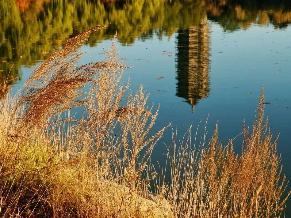 首页-NG视讯厅真人官方网站