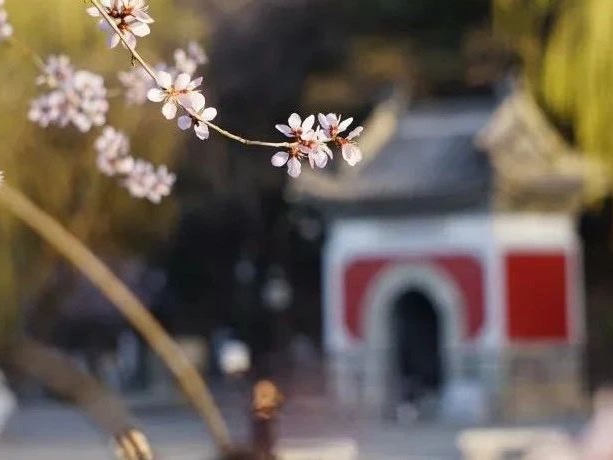 首页-NG视讯厅真人官方网站