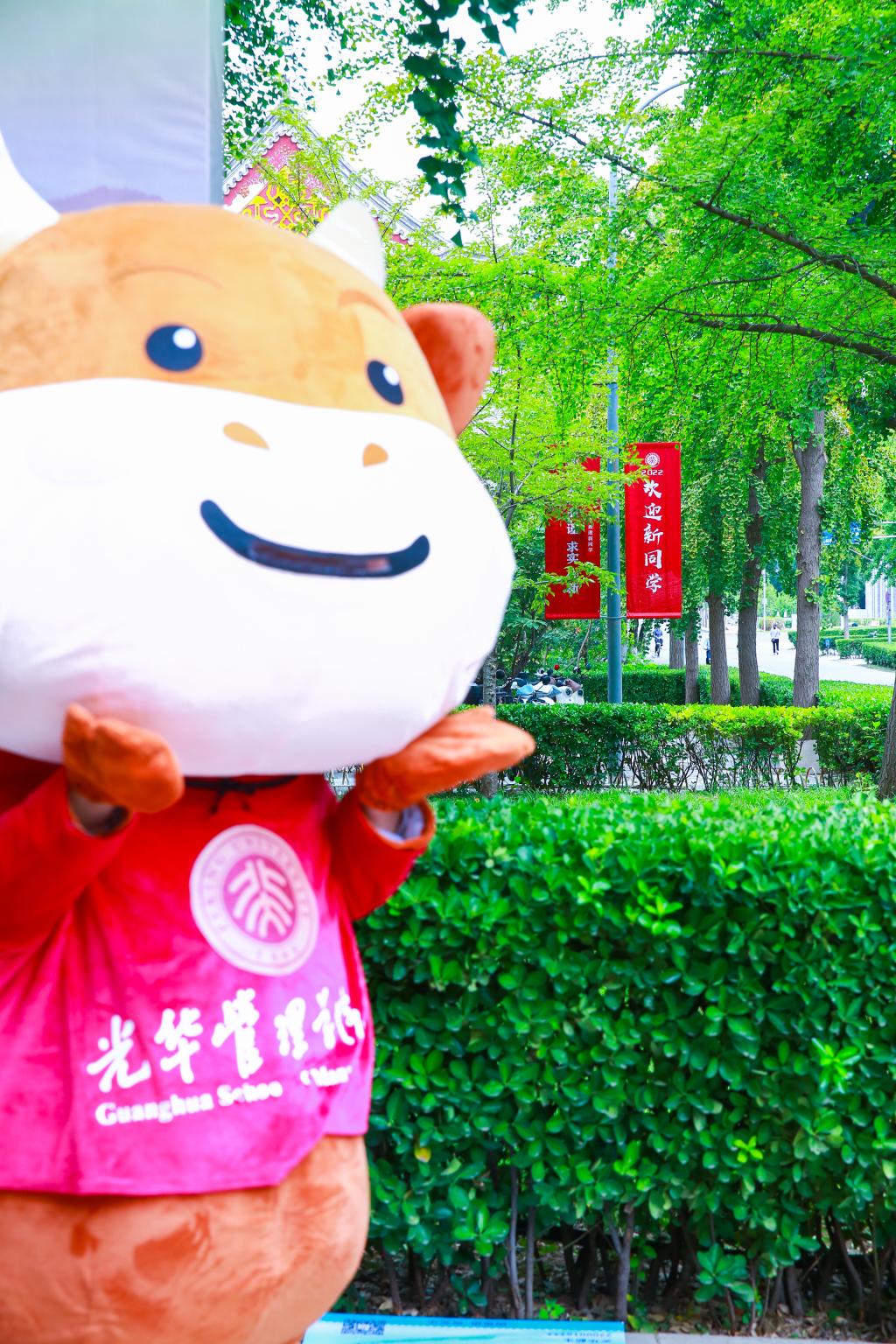 首页-NG视讯厅真人官方网站