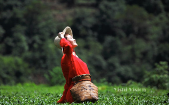 首页-NG视讯厅真人官方网站