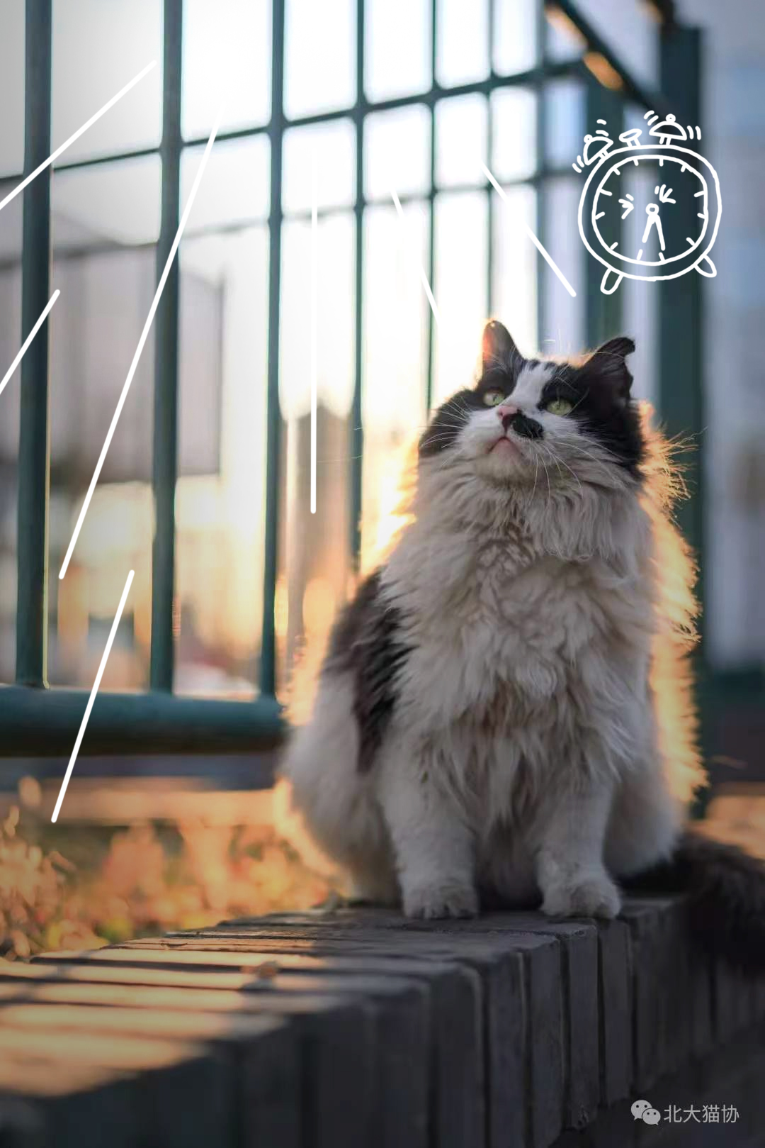 3F79F68BE940CE422264ACA6E88_3DD6AB68_8BD9F