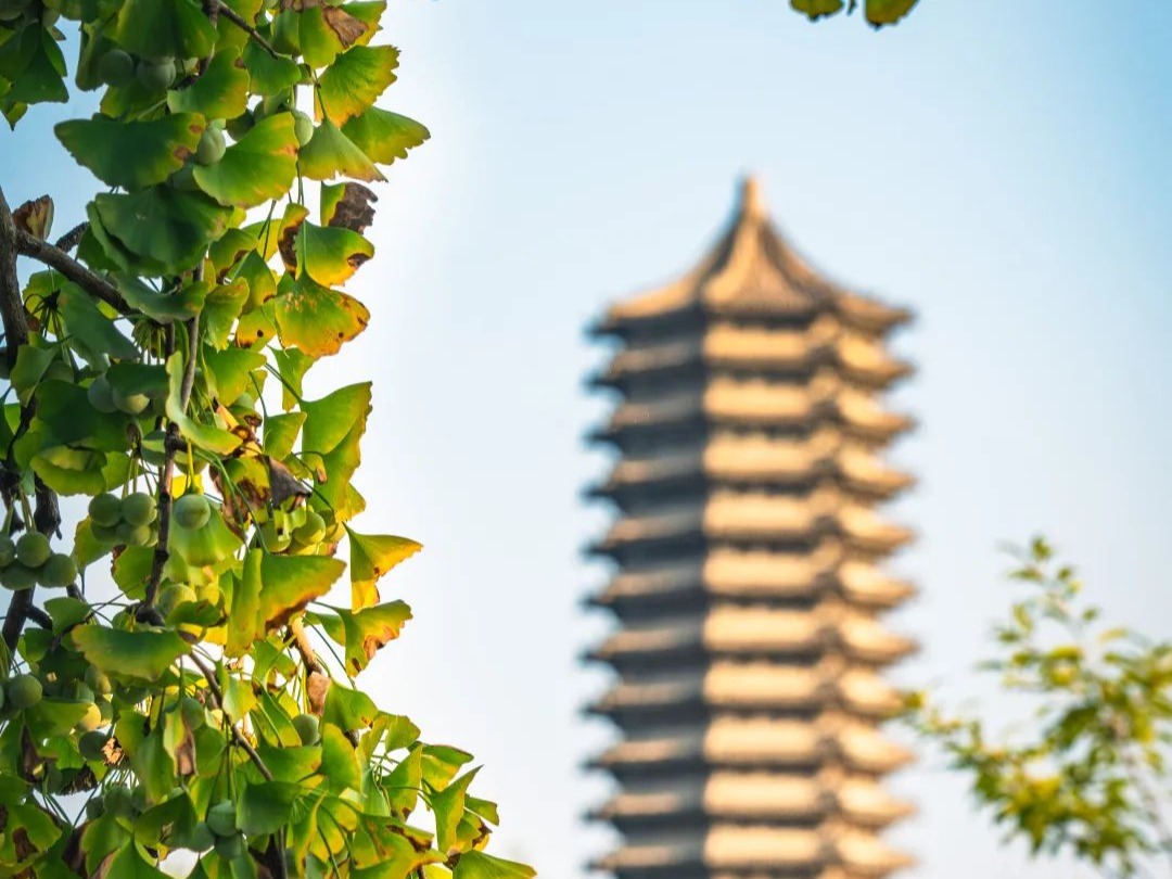 首页-NG视讯厅真人官方网站