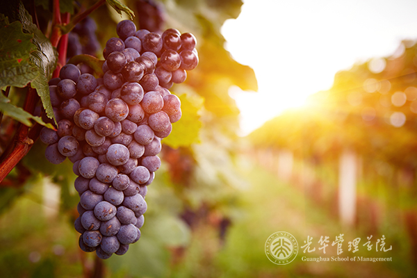 首页-NG视讯厅真人官方网站