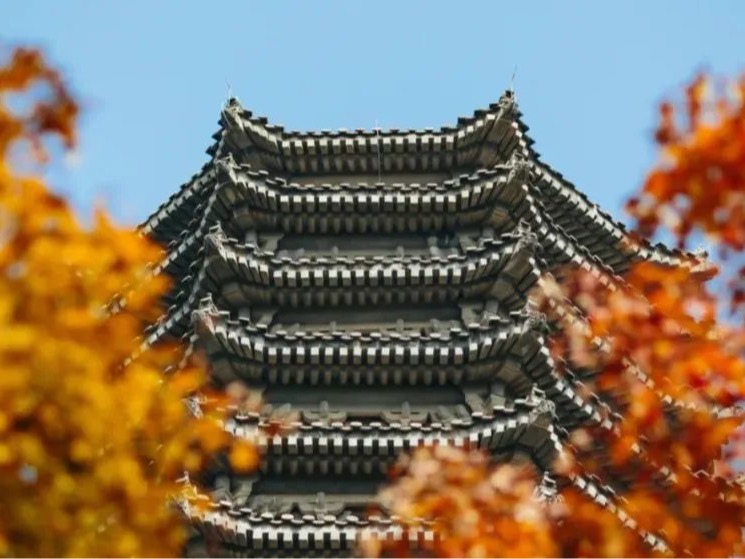 首页-NG视讯厅真人官方网站