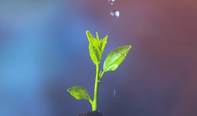 ��ҳ-NG��Ѷ�����˹ٷ���վ