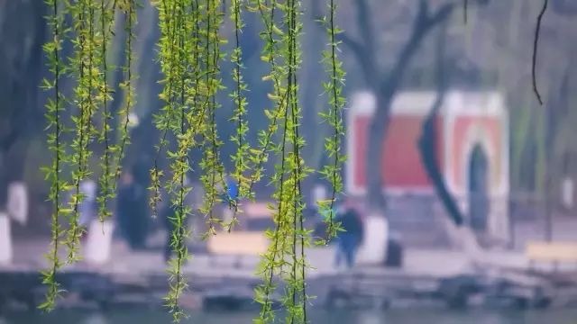 首页-NG视讯厅真人官方网站