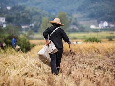 首页-NG视讯厅真人官方网站