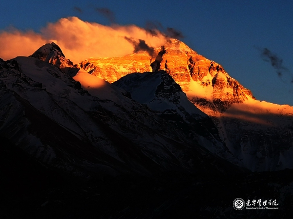 E095A1558F85F2862566BACAC00_14250E4F_26F5A