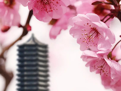 首页-NG视讯厅真人官方网站