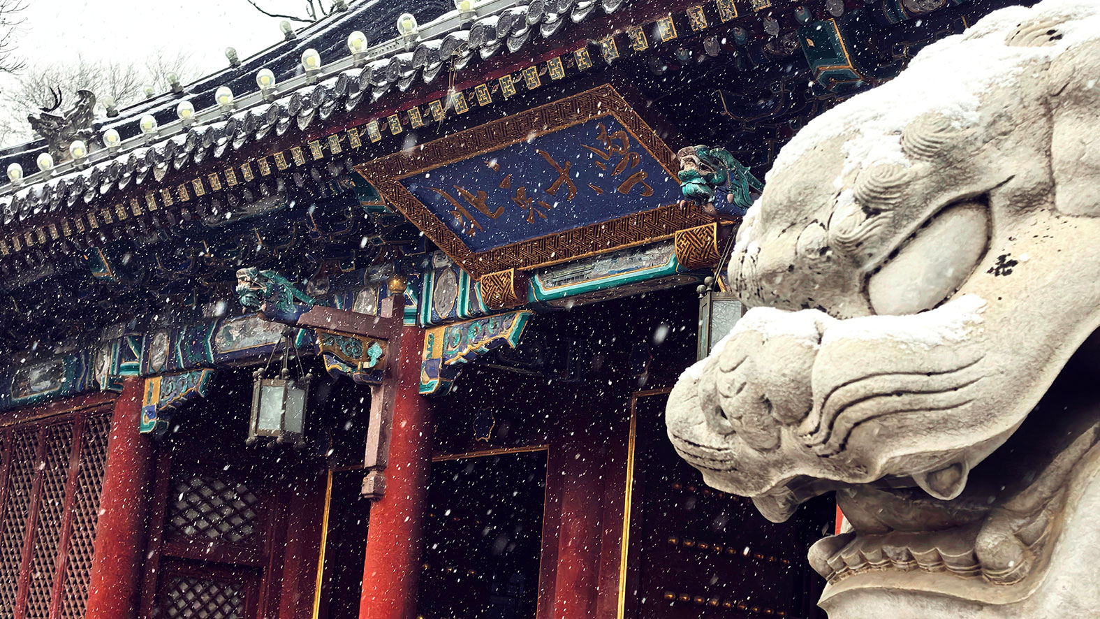 首页-NG视讯厅真人官方网站